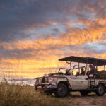 Sunset Game Drives